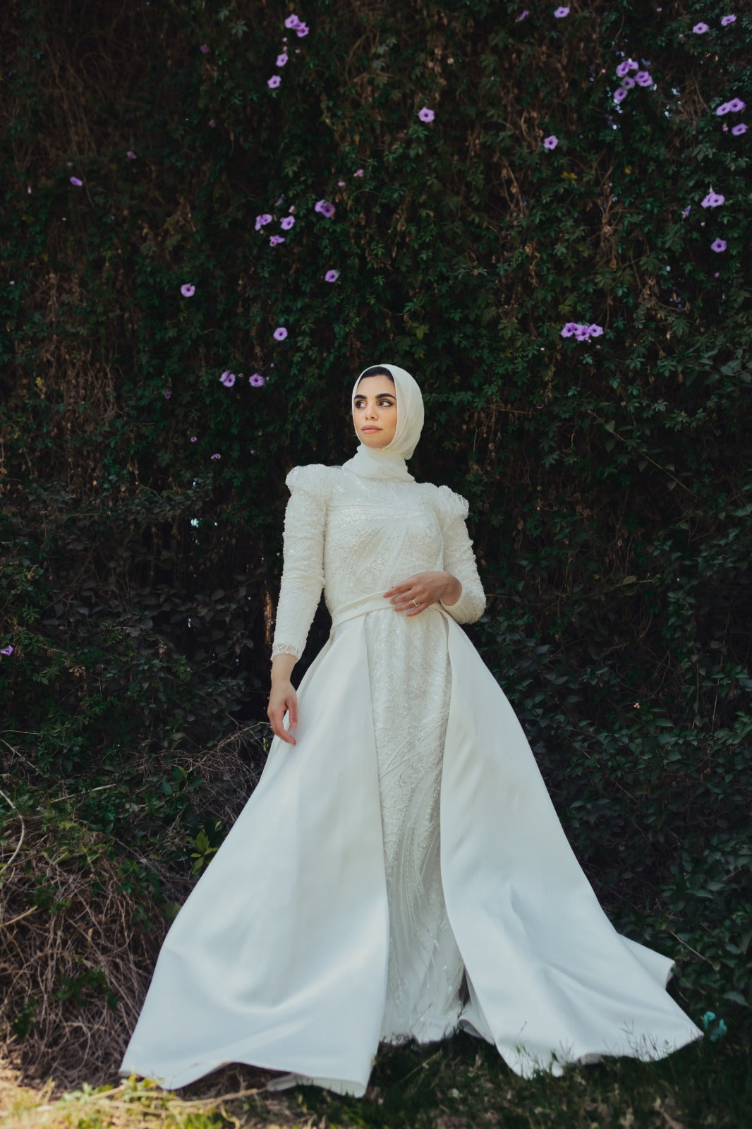 Amira