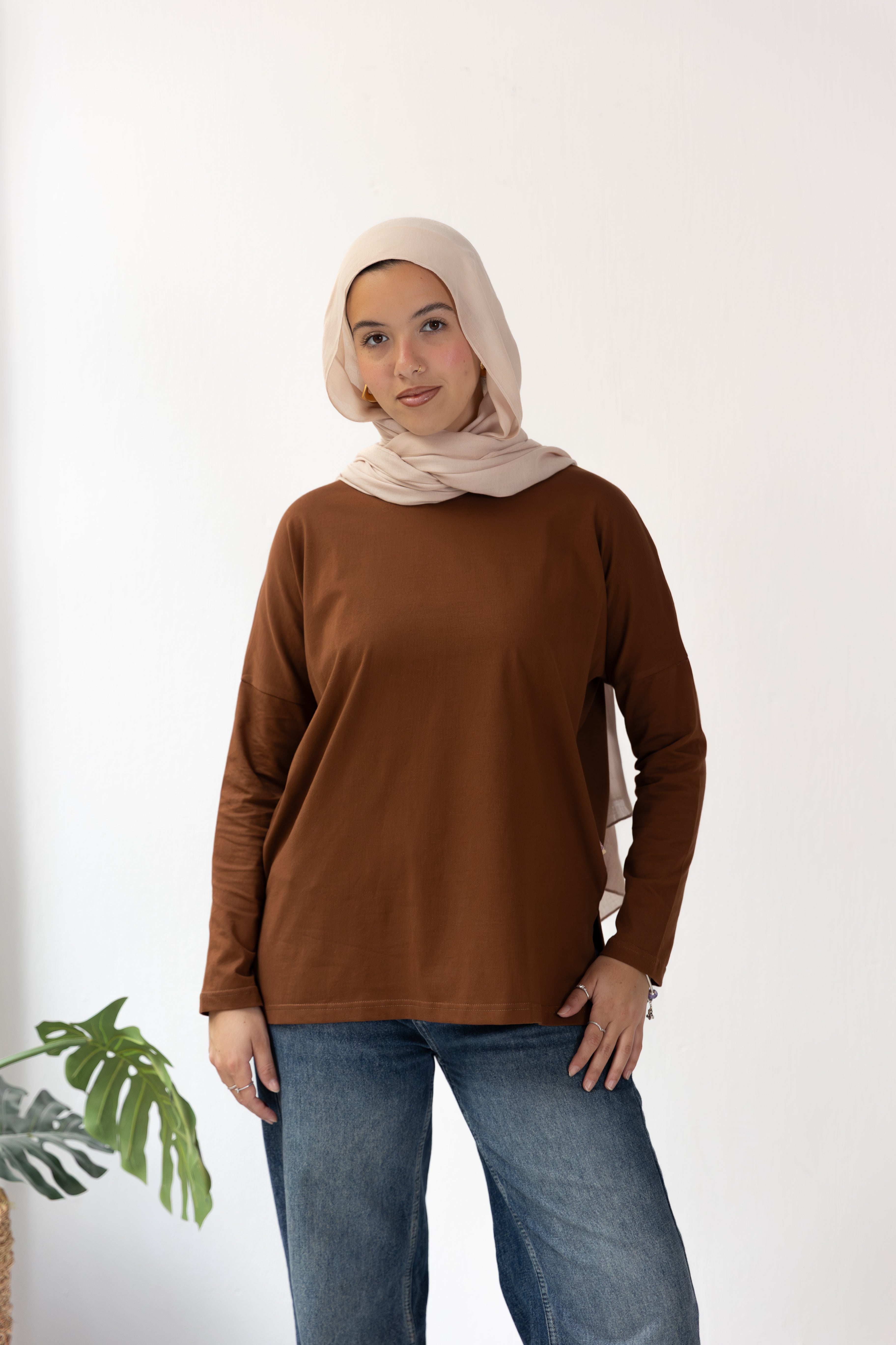 Premium cotton  T-shirts - Brown